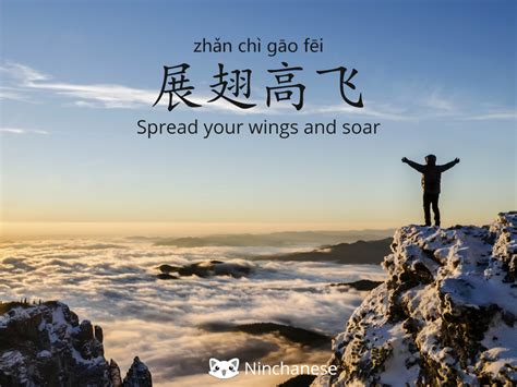 展翅|展翅 : to spread wings... : zhǎn chì 